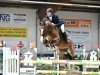 jumper Conesse H (German Sport Horse, 2010, from Colestus)