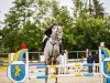 jumper Stakkotino (German Sport Horse, 2013, from Stakkato Pan)