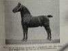 stallion Erbgraf 1500 (Oldenburg, 1900, from Ehrenberg 1383)