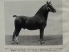 stallion Siegbert 3324 (Oldenburg, 1918, from Siegmar 3314)