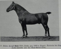 stallion Euto 3310 (Oldenburg, 1909, from Eugen 1551)