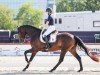 dressage horse Riviera Royal (Westphalian, 2020, from Riccinos)