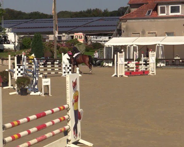 Reitturnier Buchenhof-Ibbenbüren 2024