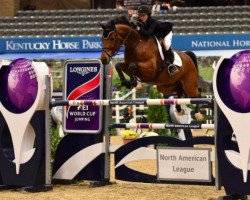 jumper Hester (Belgian Warmblood, 2005, from Wandor van de Mispelaere D'10)