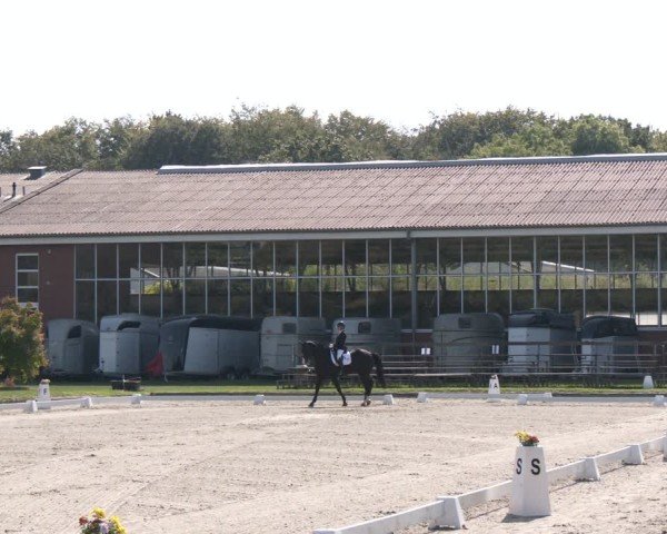 Reitturnier Langenfeld - Gut Langfort 2024