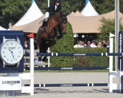 broodmare Icone D'Oscine (Selle Français, 2018, from Diamant de Semilly)