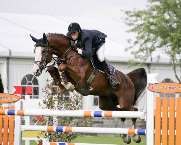 Pferd Ogano Sitte (Belgium Sporthorse, 1998, von Darco)