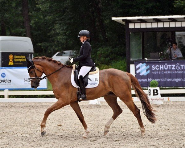 dressage horse Escalero 18 (German Sport Horse, 2021, from Escolar)