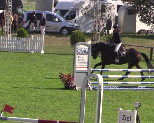 Reitturnier Crivitz 2024