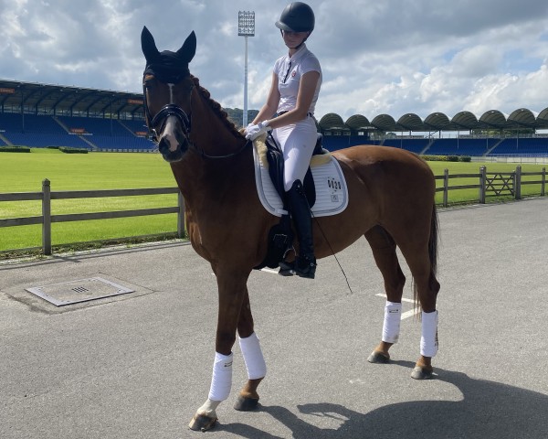 broodmare Dancing on my own (Hanoverian, 2013, from Don Frederic 3)