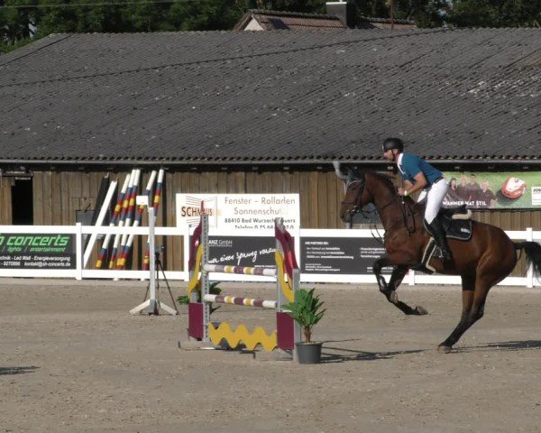 Reitturnier Memmingen 2024