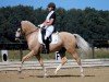 dressage horse Grimaldi's Boy (German Riding Pony, 2014, from Hesselteichs Grimaldi)