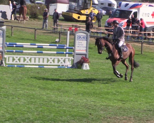 Reitturnier Crivitz 2024