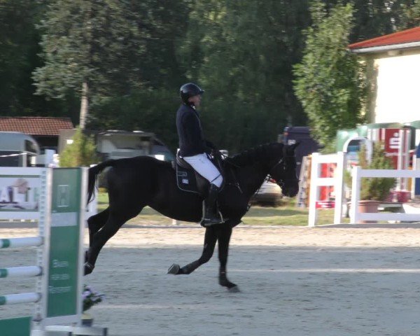 Reitturnier Memmingen 2024