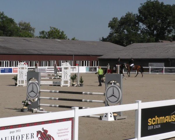 Reitturnier Memmingen 2024
