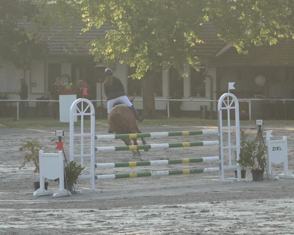 Reitturnier Richelsdorf 2024