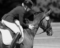 dressage horse Quebeck 8 (Hanoverian, 2019, from Quantensprung 3)