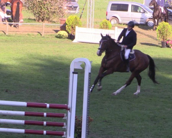Reitturnier Crivitz 2024