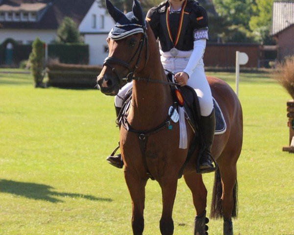 jumper Ace of Spades 5 (German Riding Pony, 2016, from Coelenhage's Amor)