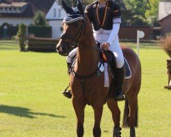 Springpferd Ace of Spades 5 (Deutsches Reitpony, 2016, von Coelenhage's Amor)