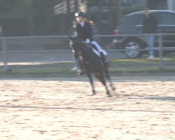 Reitturnier Langenfeld - Gut Langfort 2024