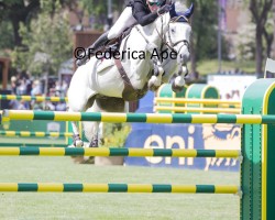 jumper Incredible (KWPN (Royal Dutch Sporthorse), 2013, from Clinton)