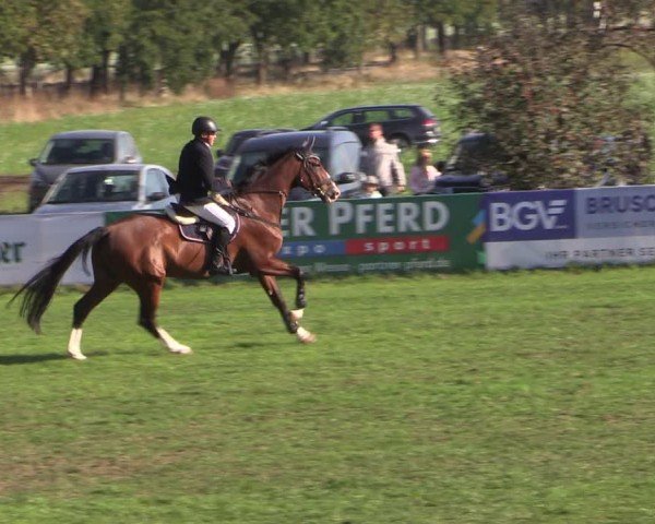 Reitturnier Crivitz 2024