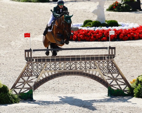 broodmare Legacy (Zangersheide riding horse, 2010, from Chippendale Z)