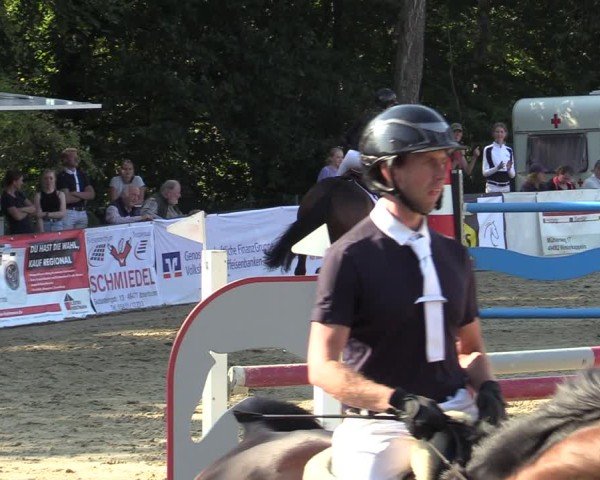 Reitturnier Buchenhof-Ibbenbüren 2024
