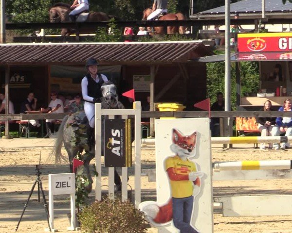 Reitturnier Buchenhof-Ibbenbüren 2024