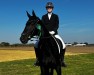 dressage horse Don Philippo 16 (Hanoverian, 2010, from Don Frederico)