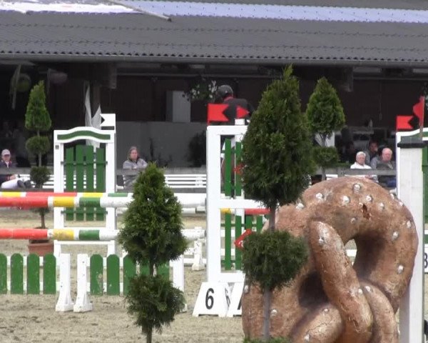 Reit- und Springturnier Münster-Roxel 2013