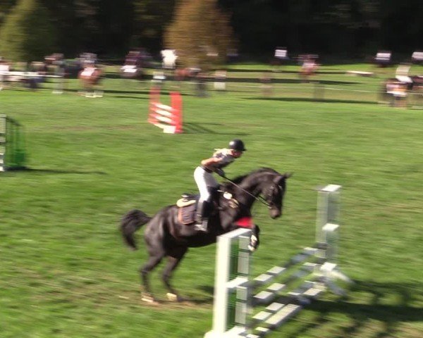 Reitturnier Seelitz 2024