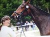 dressage horse Lousiana K (Hanoverian, 2005, from Londonderry)