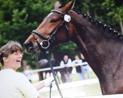 dressage horse Lousiana K (Hanoverian, 2005, from Londonderry)