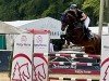 Springpferd Hulapalou (Deutsches Sportpferd, 2016, von Hickstead White)