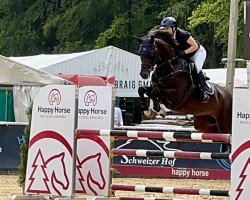 Springpferd Hulapalou (Deutsches Sportpferd, 2016, von Hickstead White)