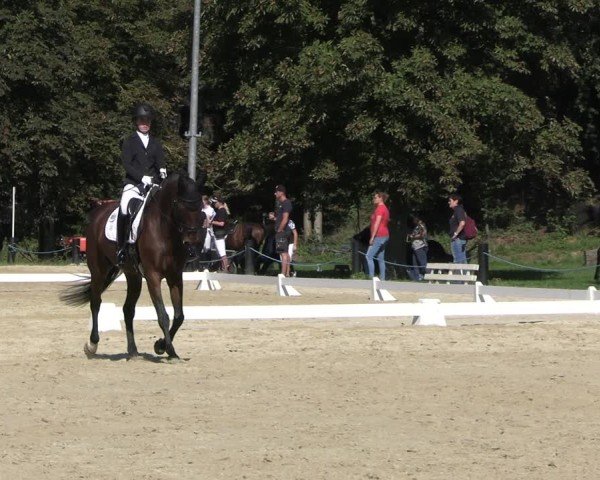 Reitturnier Seelitz 2024