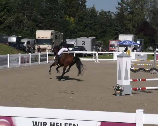 Reitturnier Memmingen 2024