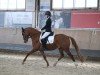 jumper Mon Dieu 23 (German Riding Pony, 2015, from Mylord Carwyn)