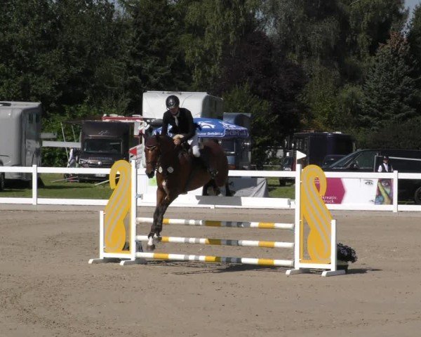 Reitturnier Memmingen 2024