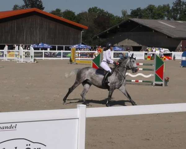 Reitturnier Memmingen 2024