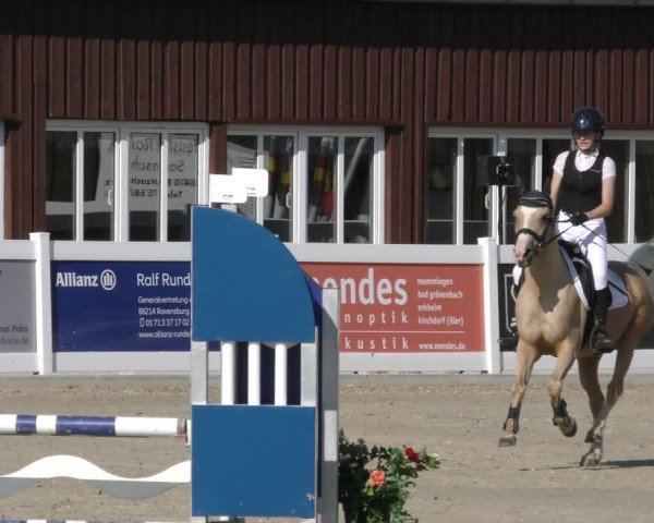 Reitturnier Memmingen 2024
