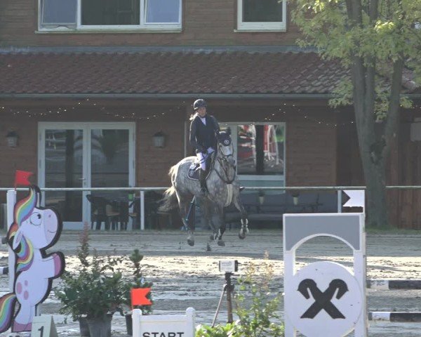 Reitturnier Richelsdorf 2024