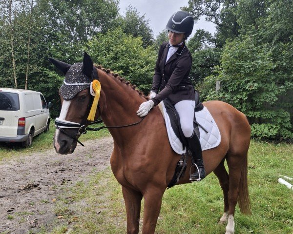 dressage horse Larry Leisure E (Hanoverian, 2009, from Labiat)