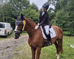 dressage horse Larry Leisure E (Hanoverian, 2009, from Labiat)