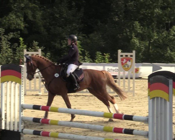 Reitturnier Buchenhof-Ibbenbüren 2024