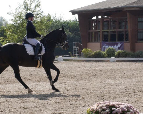 Reitturnier Rodgau-Weiskirchen 2024