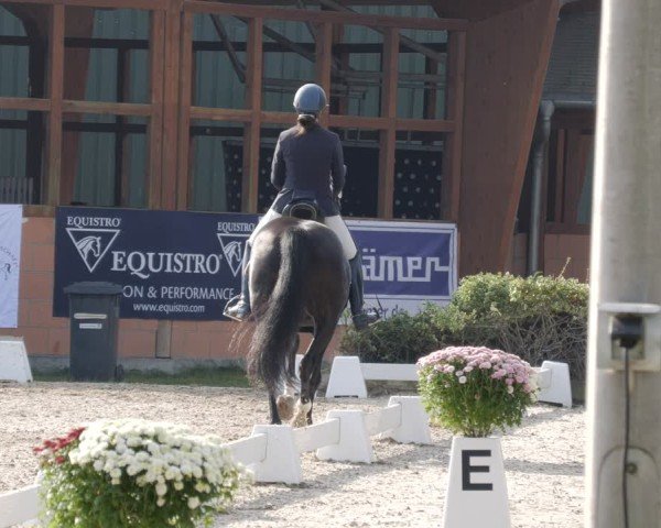 Reitturnier Rodgau-Weiskirchen 2024