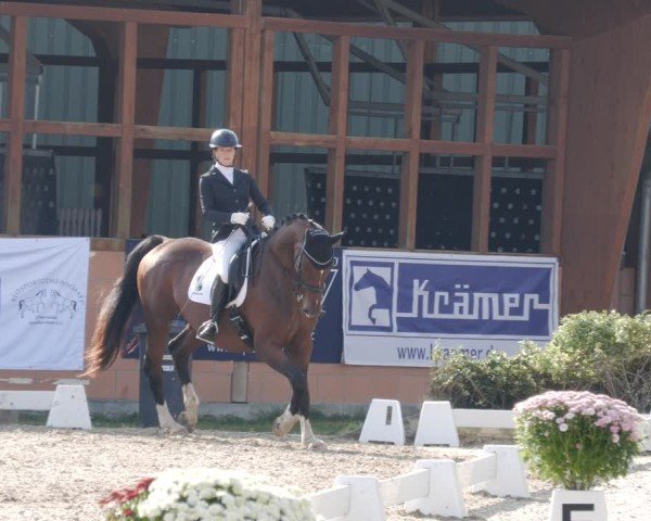 Reitturnier Rodgau-Weiskirchen 2024